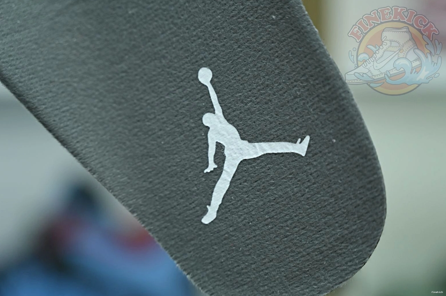 Jordan5 Air Jordan SE